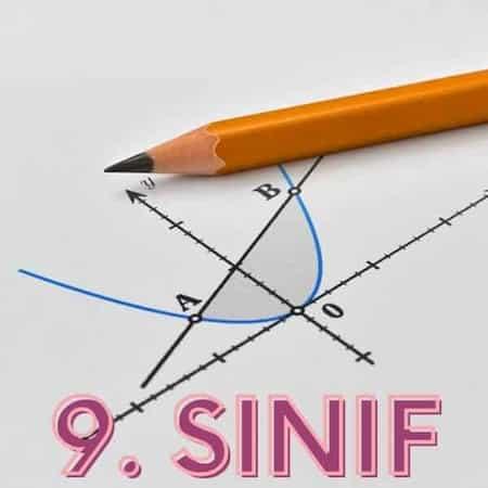 9. SINIF